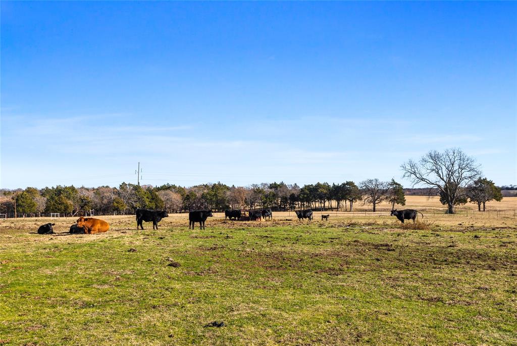 28966 Us Highway 377 Property Photo 36