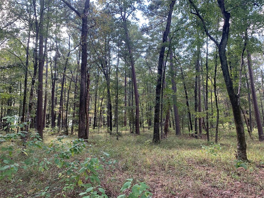 00 Bob White Loop Property Photo