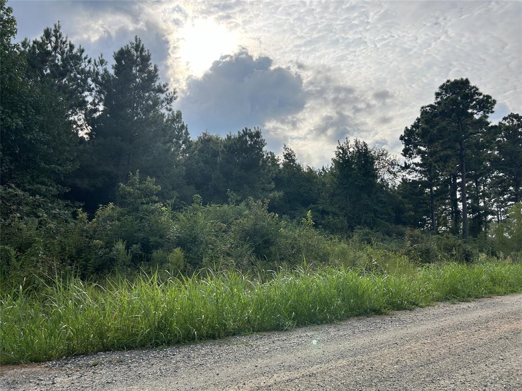Lot 25 Cottonwood Property Photo