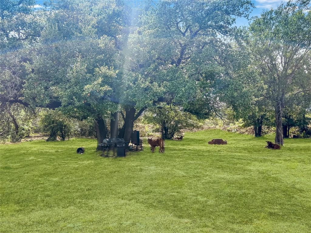 Tbd County Road 237 Property Photo 1