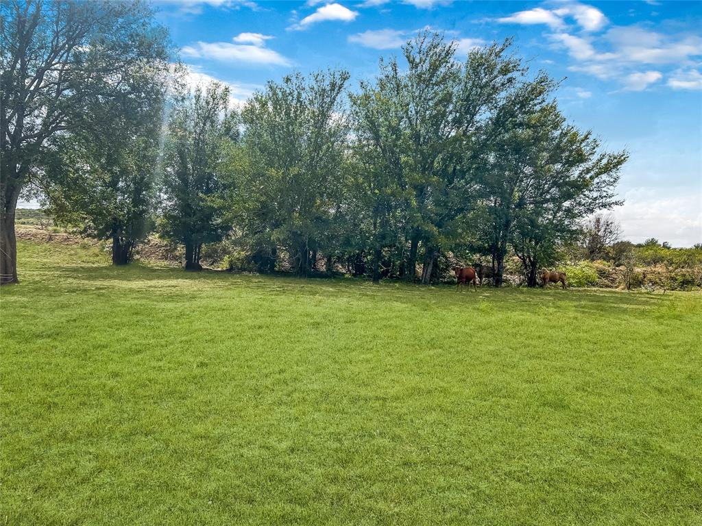 Tbd County Road 237 Property Photo 2