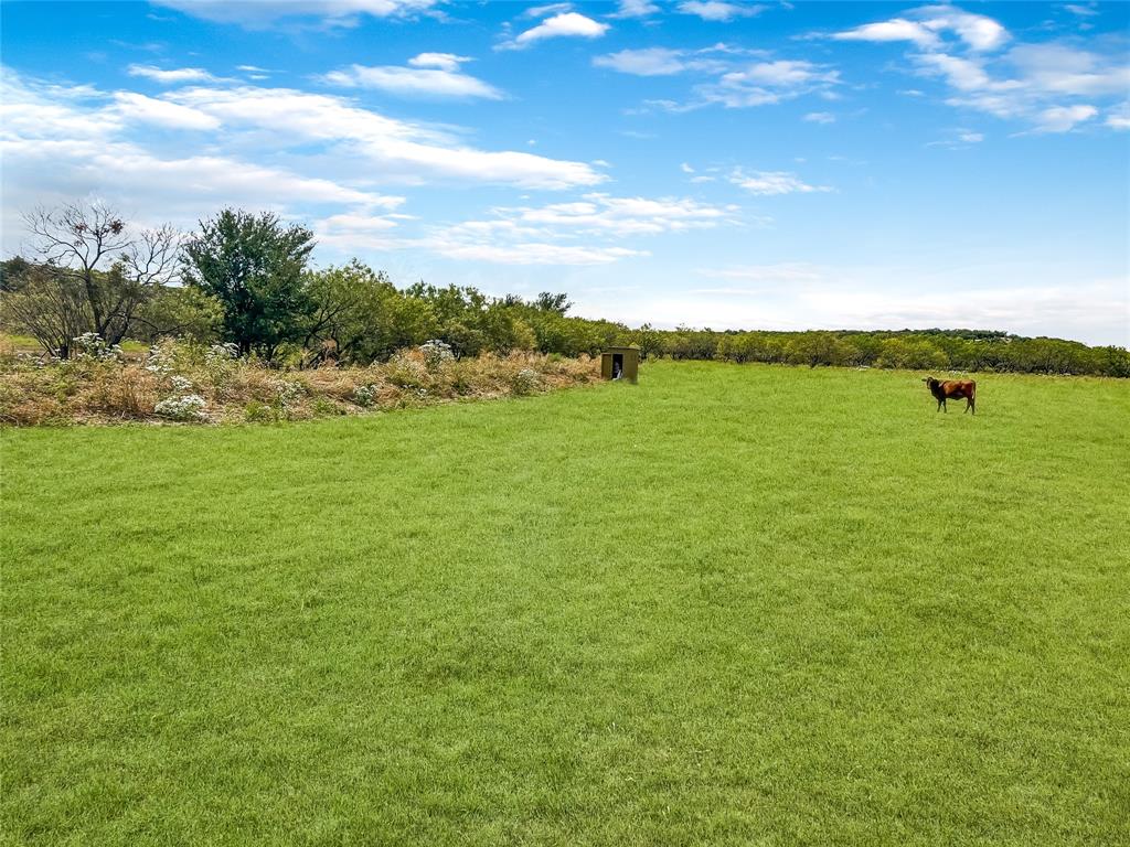 Tbd County Road 237 Property Photo 11