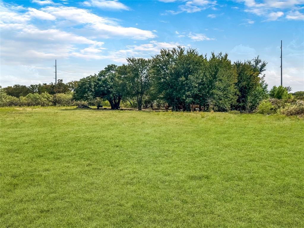Tbd County Road 237 Property Photo 13