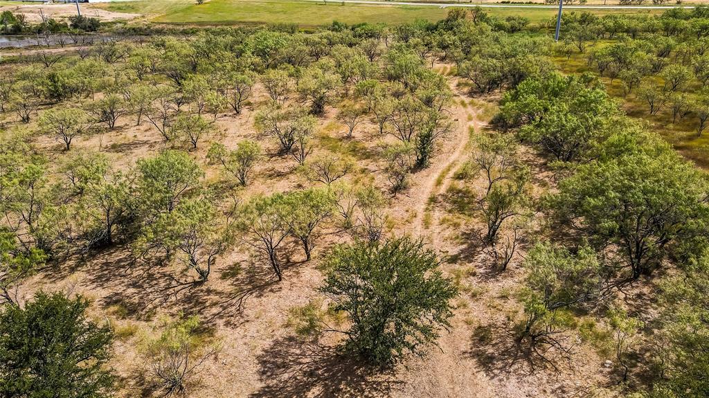 Tbd County Road 237 Property Photo 15