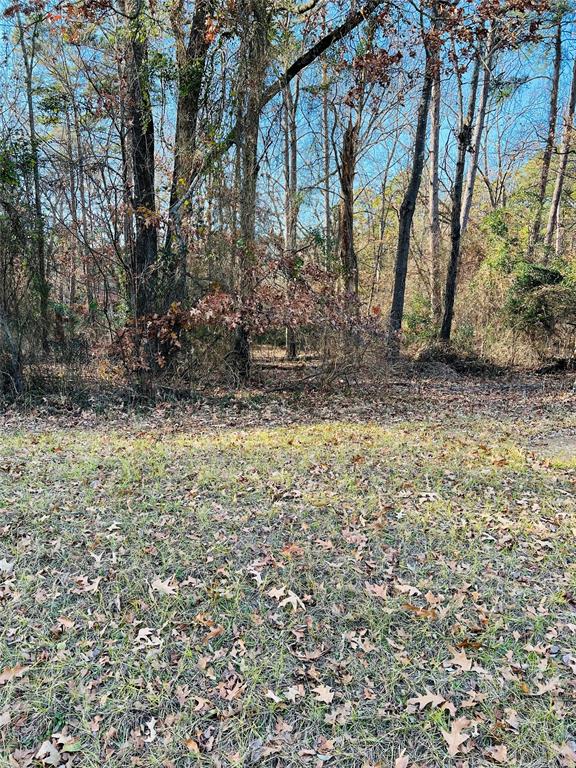 Lot 31 Winding Ln Property Photo 2