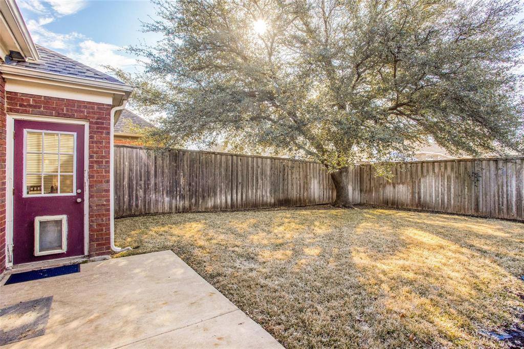 10305 Preston Vineyard Drive Property Photo 18