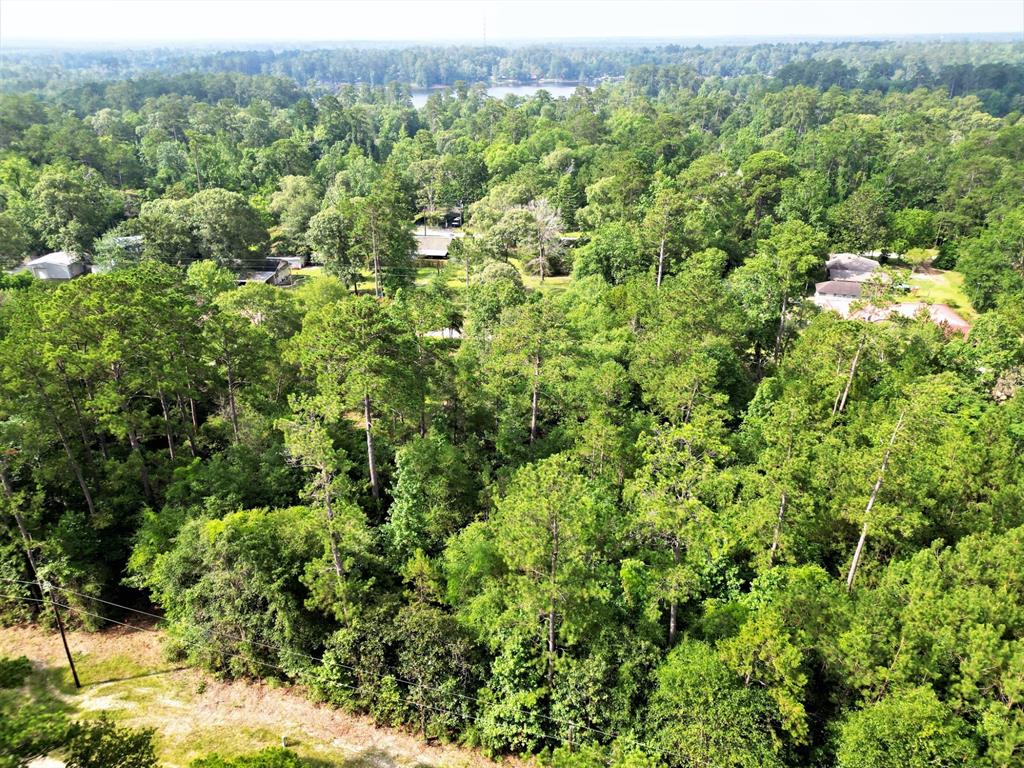 Lot 8 Sir Ewaine Drive Property Photo 7