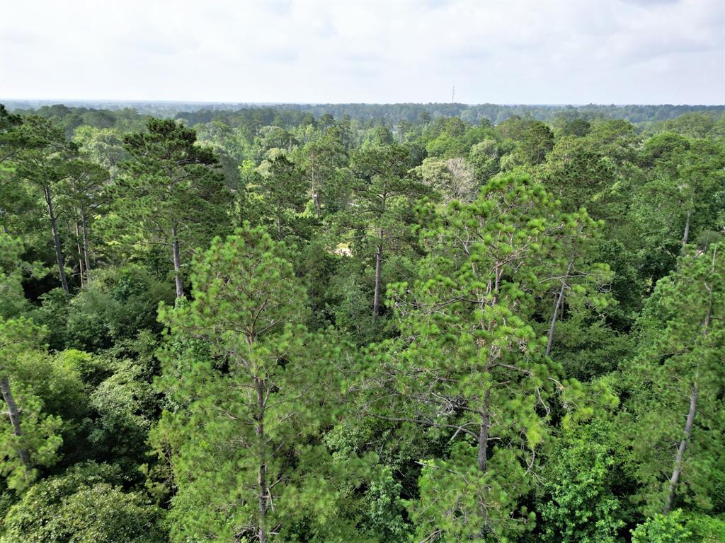 Lot 8 Sir Ewaine Drive Property Photo 13