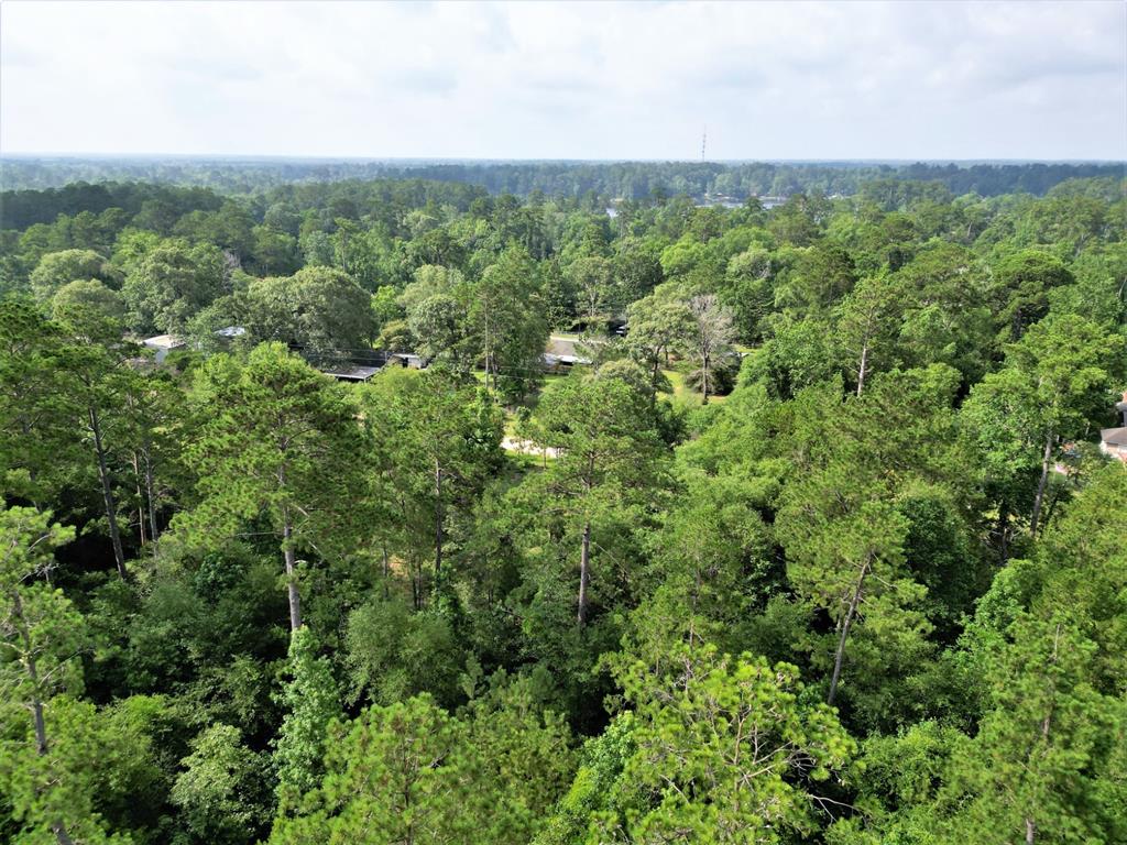 Lot 8 Sir Ewaine Drive Property Photo 14