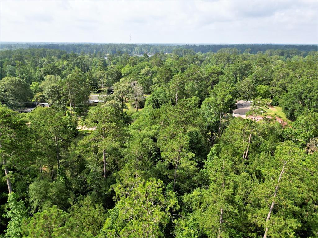 Lot 8 Sir Ewaine Drive Property Photo 15
