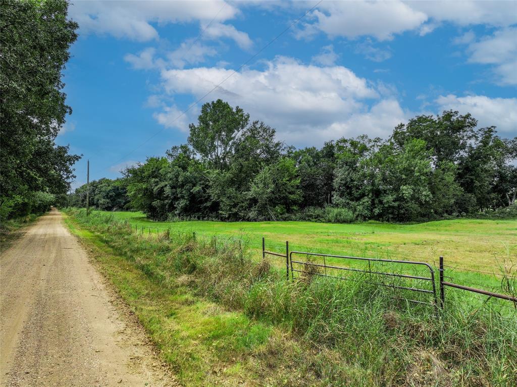 Tbd County Road 3561 Property Photo 6