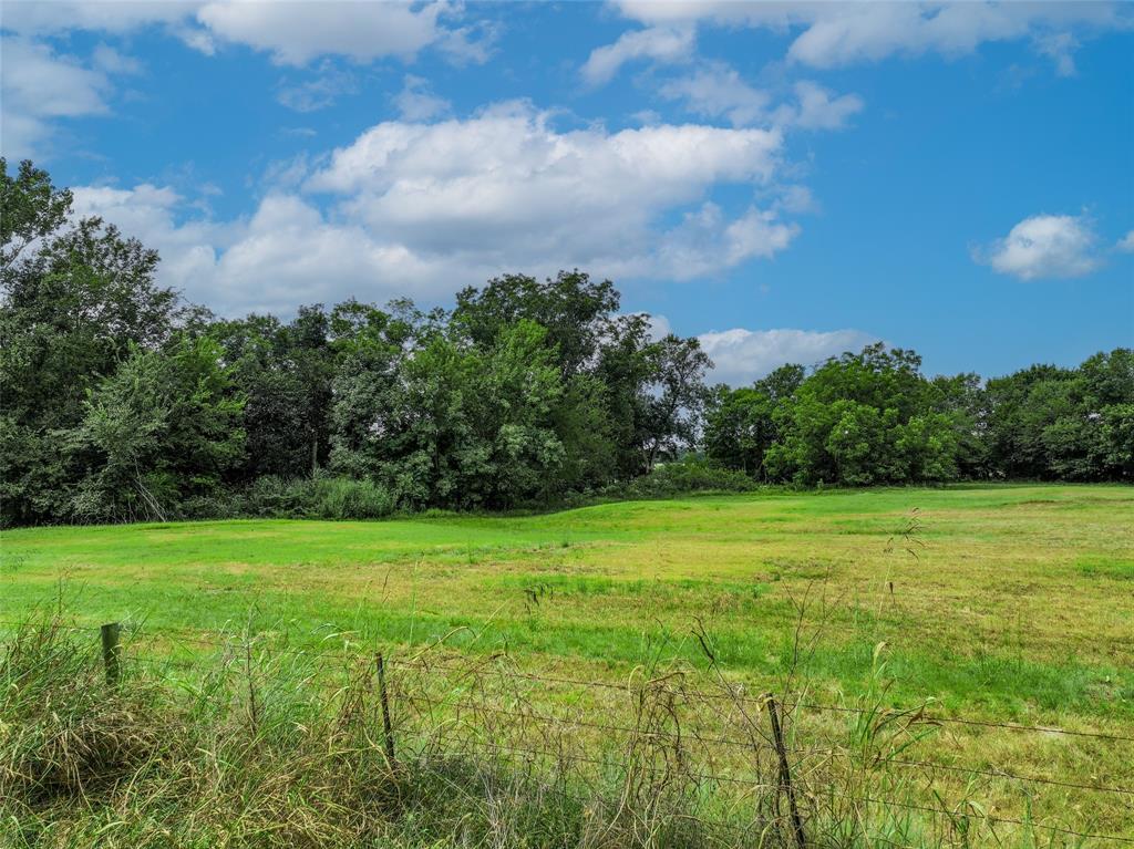 Tbd County Road 3561 Property Photo 7