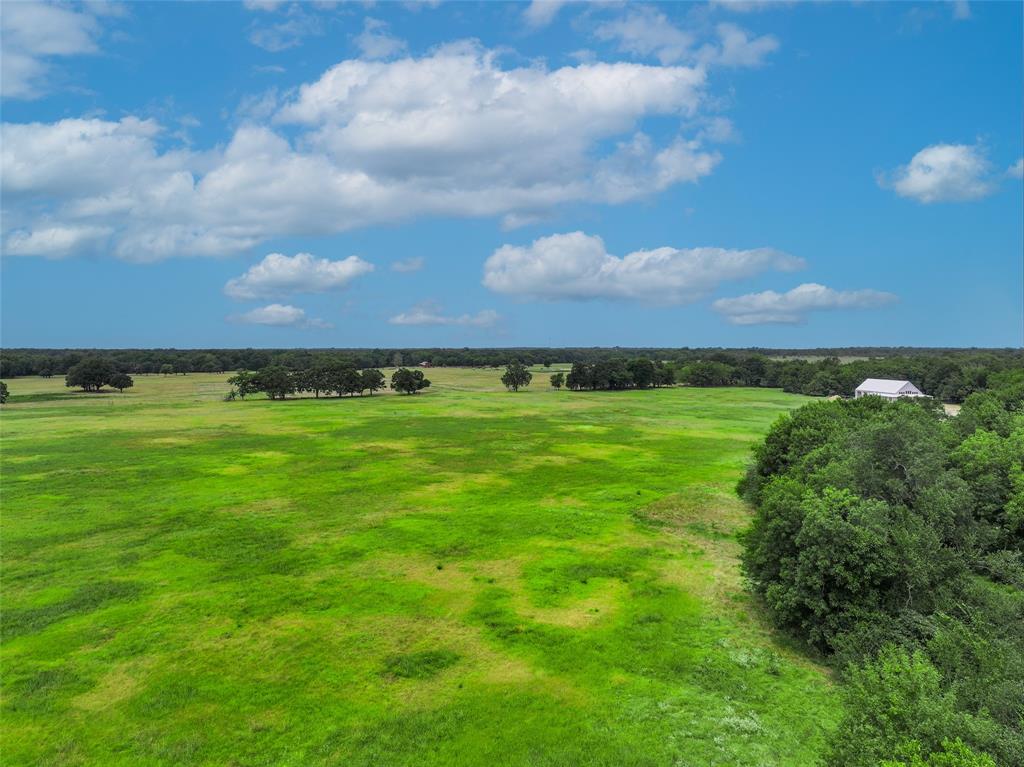 Tbd County Road 3561 Property Photo 8