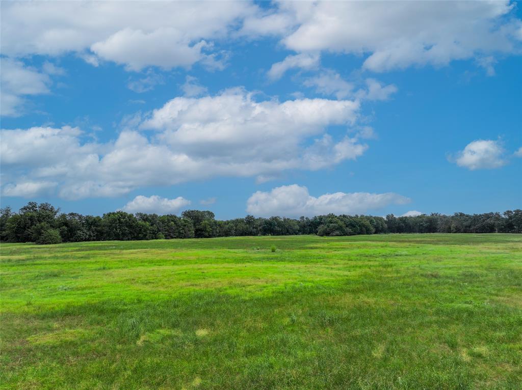 Tbd County Road 3561 Property Photo 14