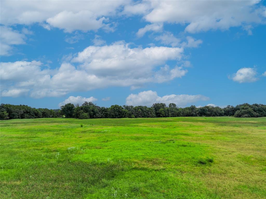 Tbd County Road 3561 Property Photo 15