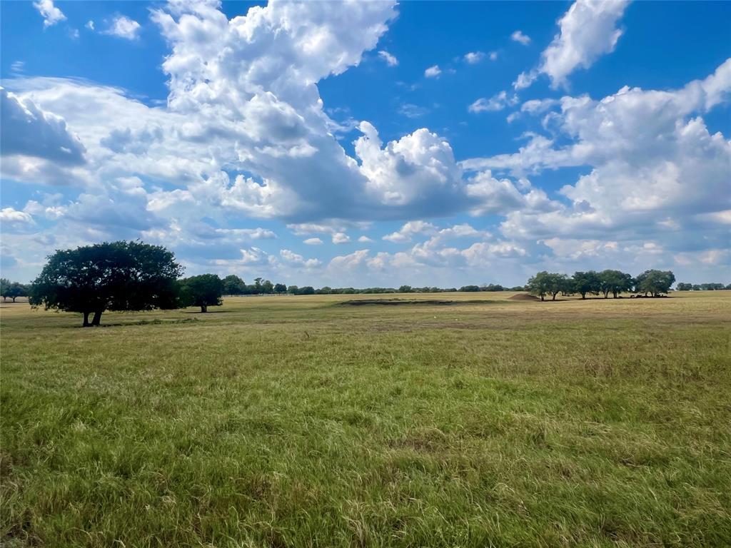 Tbd 15 Acres Fm 1446 Property Photo 2