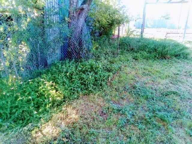 815 Pear Street Property Photo 14