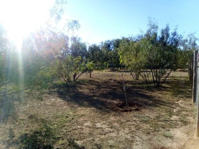 815 Pear Street Property Photo 15
