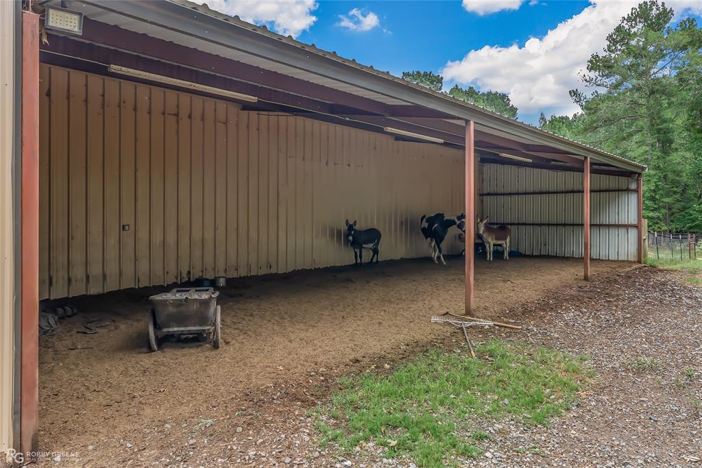 113 Antrim Road Property Photo 29