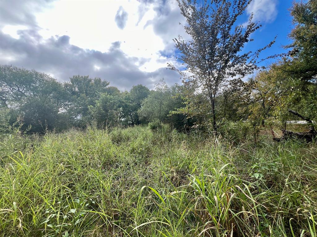 10486 / 10302 Tx-78 Property Photo 3