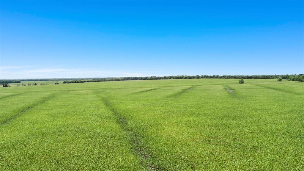 104.98 Acres Cr-1067 Property Photo 4