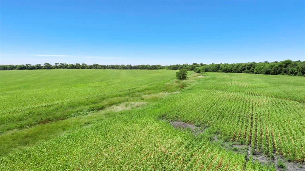 104.98 Acres Cr-1067 Property Photo 5