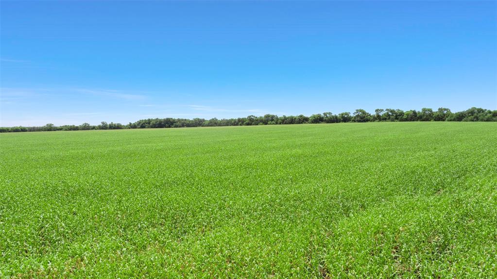104.98 Acres Cr-1067 Property Photo 6