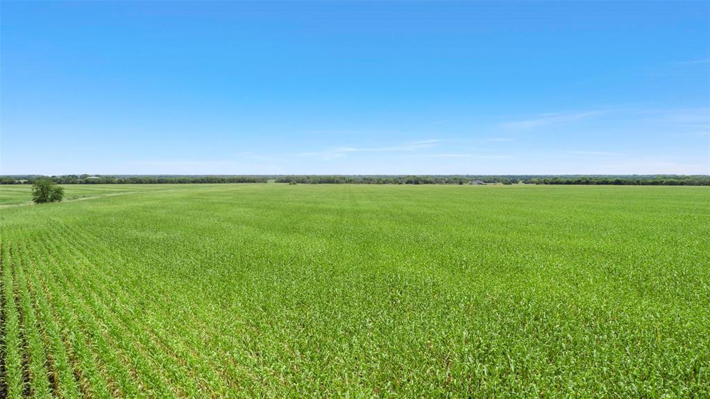 104.98 Acres Cr-1067 Property Photo 7