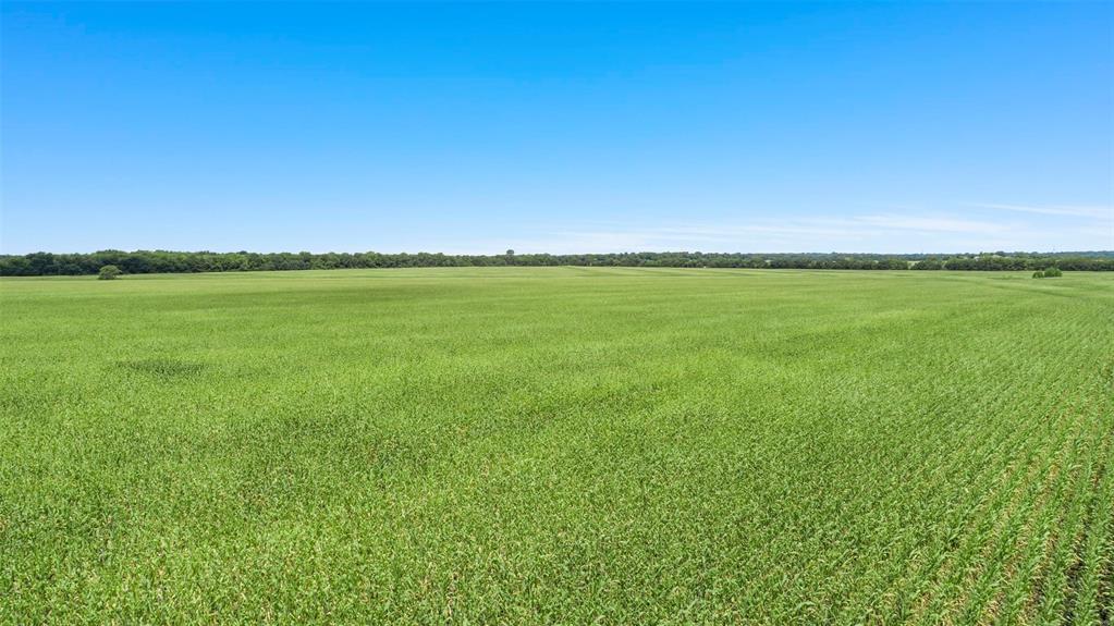 104.98 Acres Cr-1067 Property Photo 12