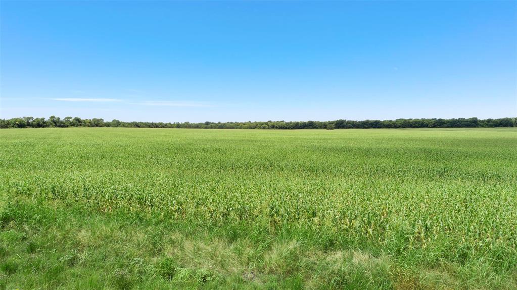 104.98 Acres Cr-1067 Property Photo 13