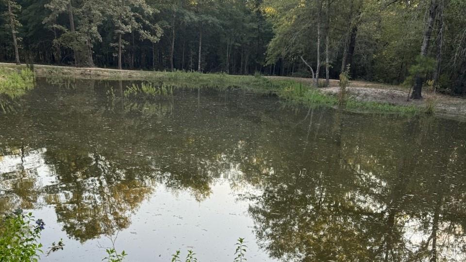 Tbd County Road 1410 Property Photo 19