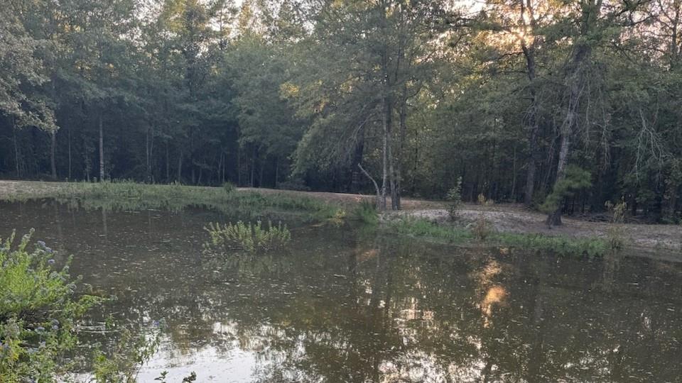 Tbd County Road 1410 Property Photo 20