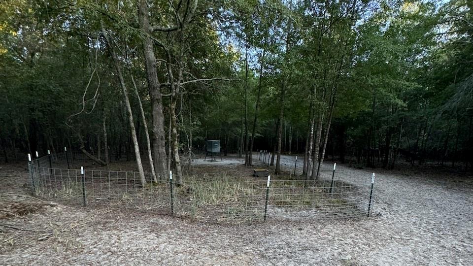Tbd County Road 1410 Property Photo 25