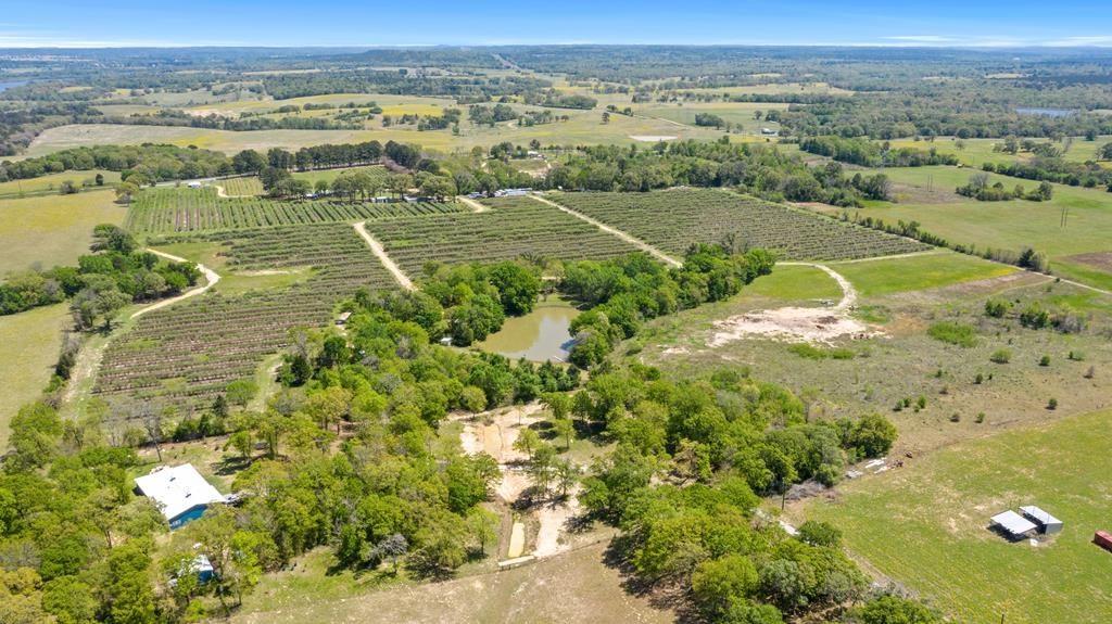12462 Fm 2588 Property Photo 3