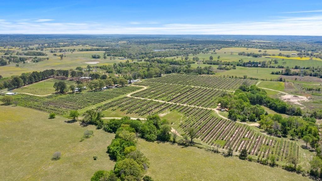 12462 Fm 2588 Property Photo 5