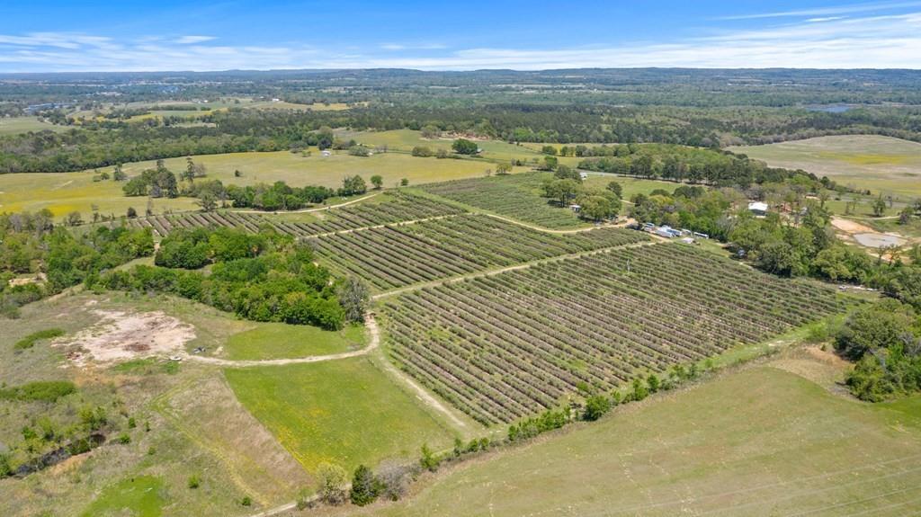 12462 Fm 2588 Property Photo 6