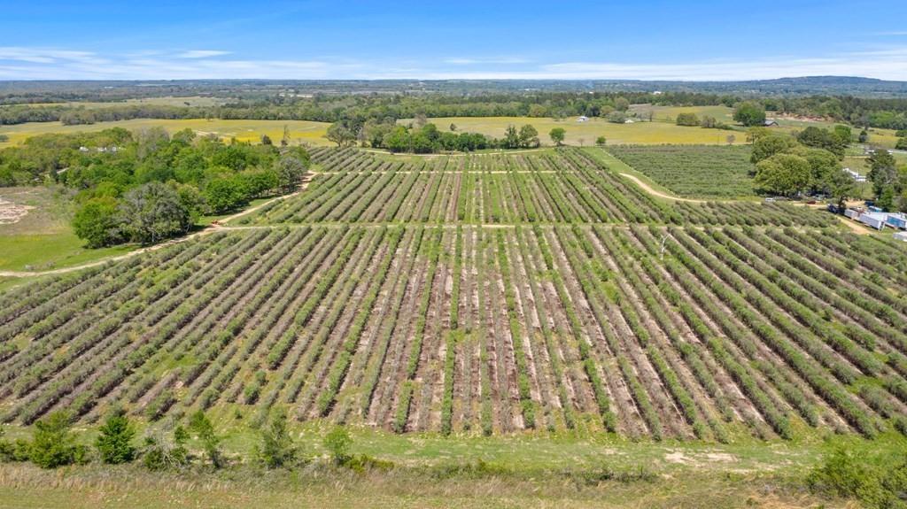 12462 Fm 2588 Property Photo 7