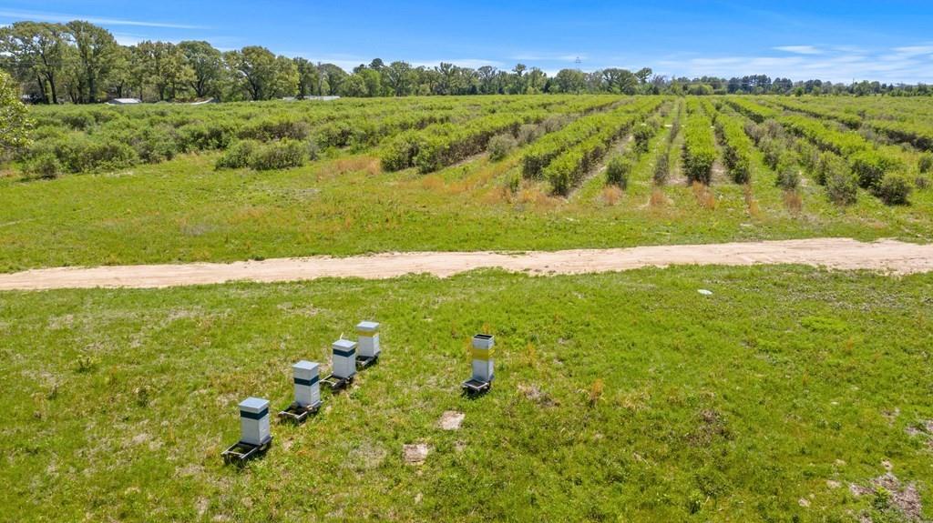 12462 Fm 2588 Property Photo 8
