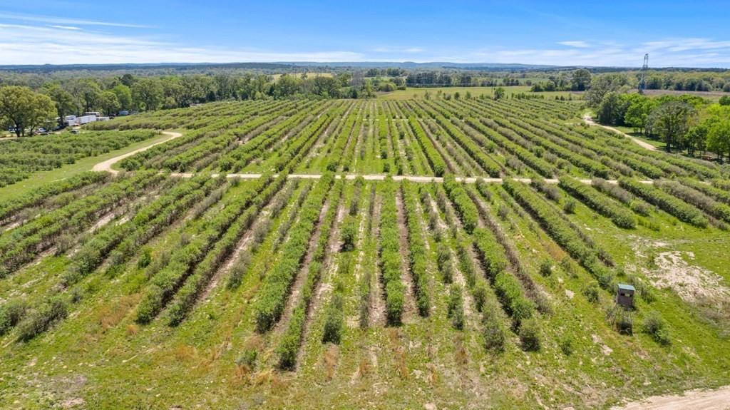 12462 Fm 2588 Property Photo 9