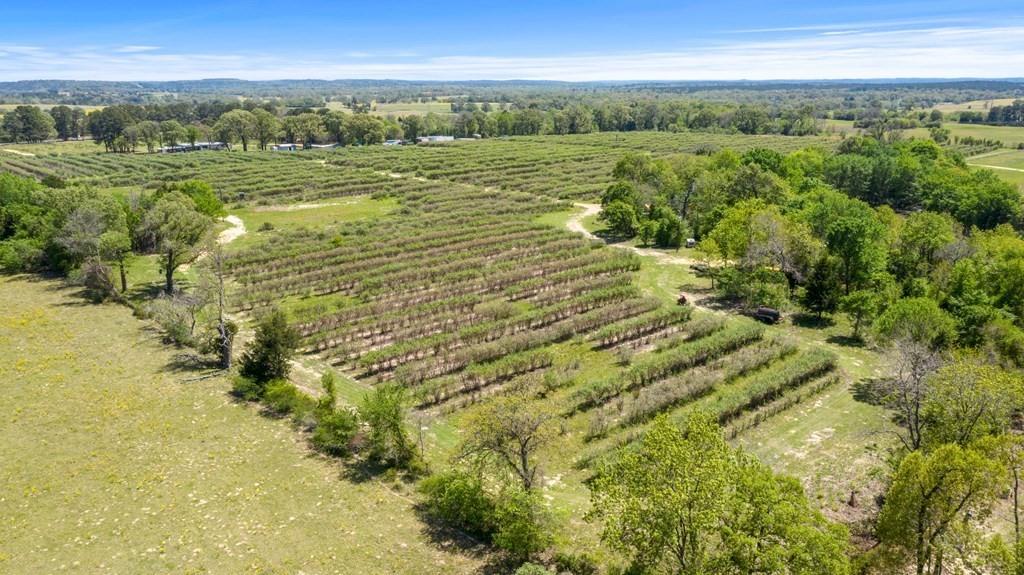 12462 Fm 2588 Property Photo 10