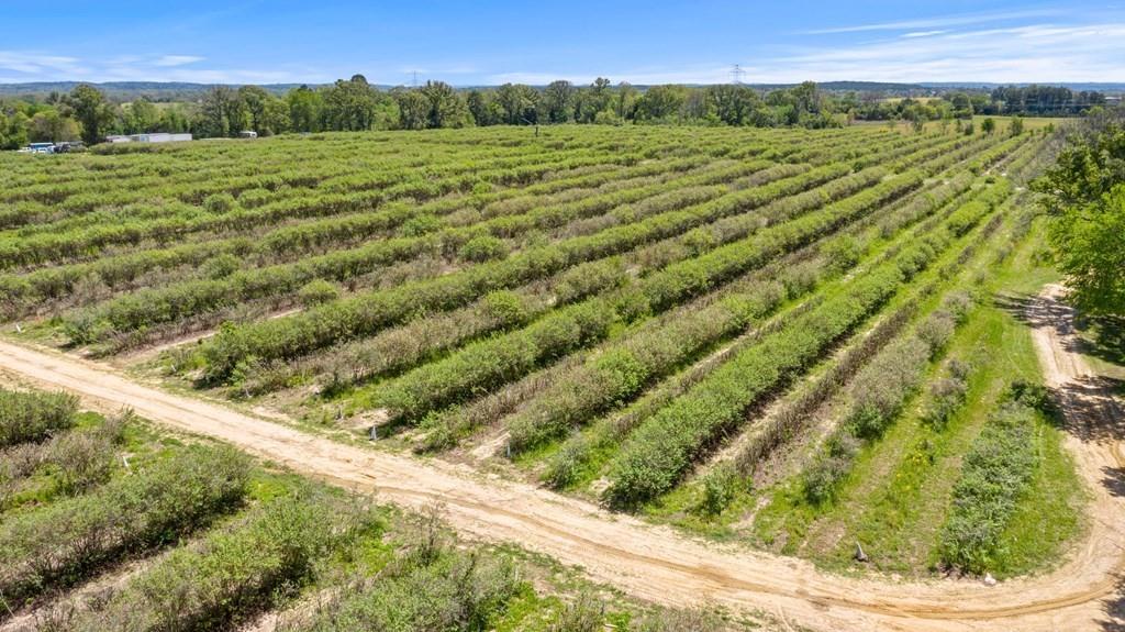 12462 Fm 2588 Property Photo 11