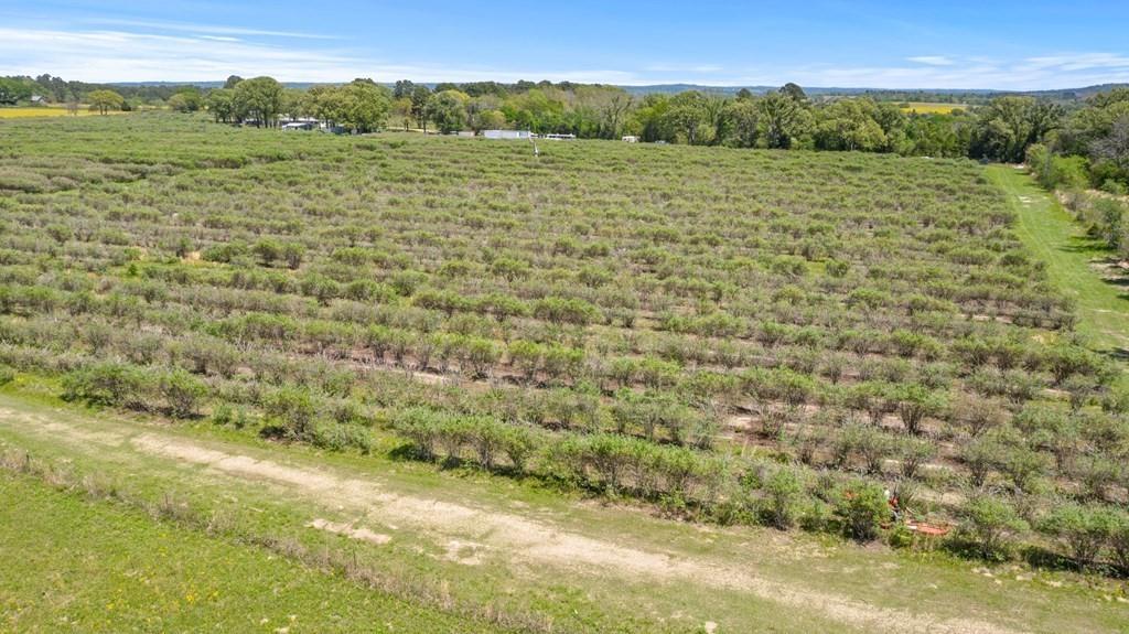 12462 Fm 2588 Property Photo 12