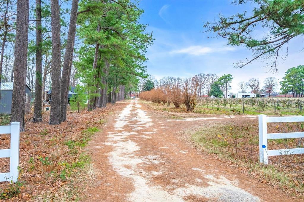 12462 Fm 2588 Property Photo 16