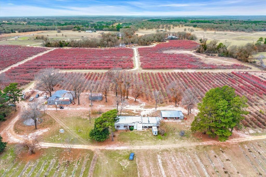 12462 Fm 2588 Property Photo 19