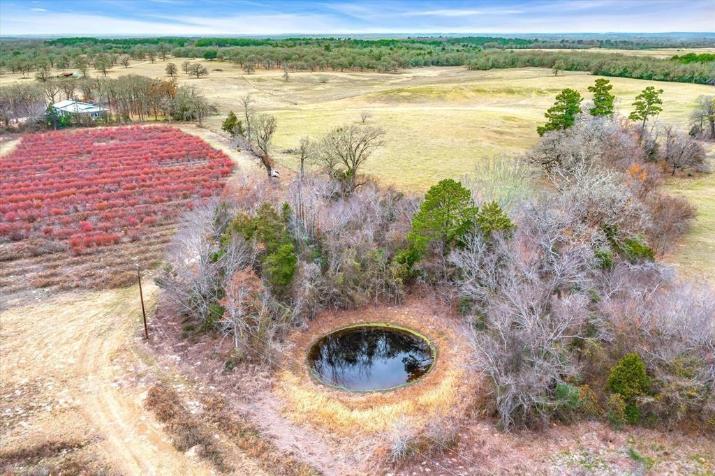 12462 Fm 2588 Property Photo 20