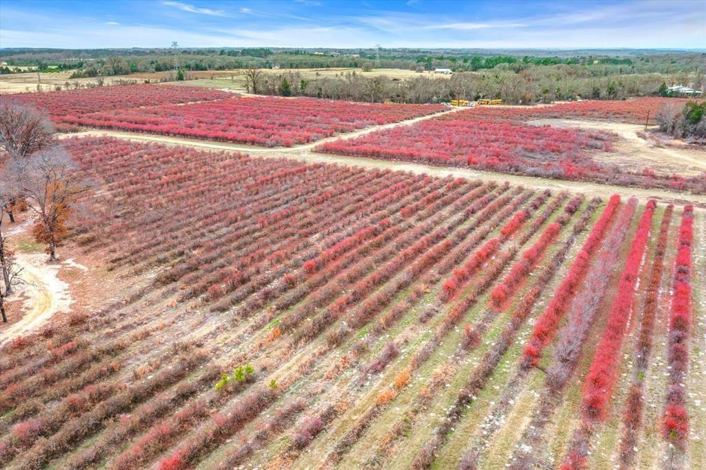 12462 Fm 2588 Property Photo 21