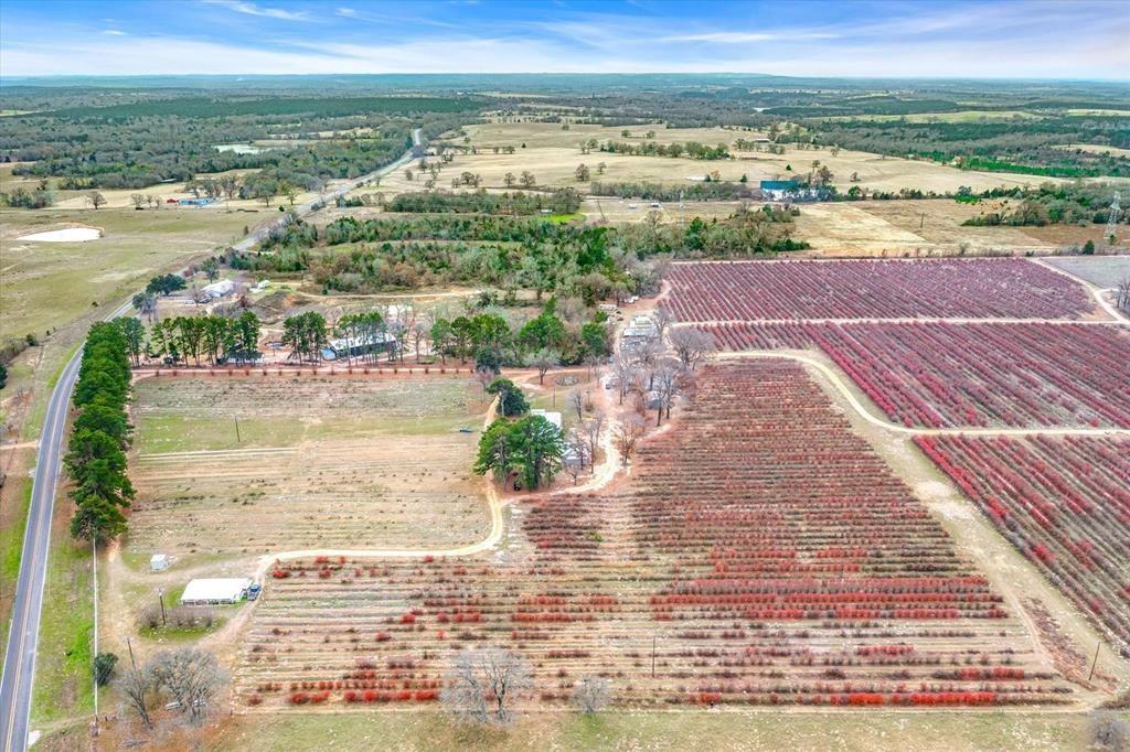 12462 Fm 2588 Property Photo 22