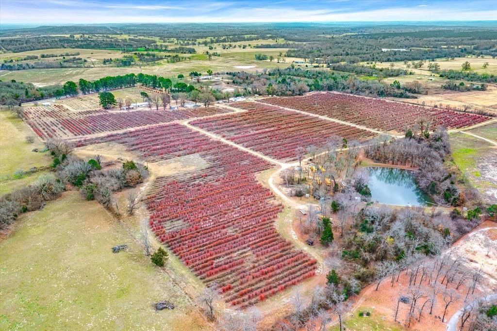 12462 Fm 2588 Property Photo 23