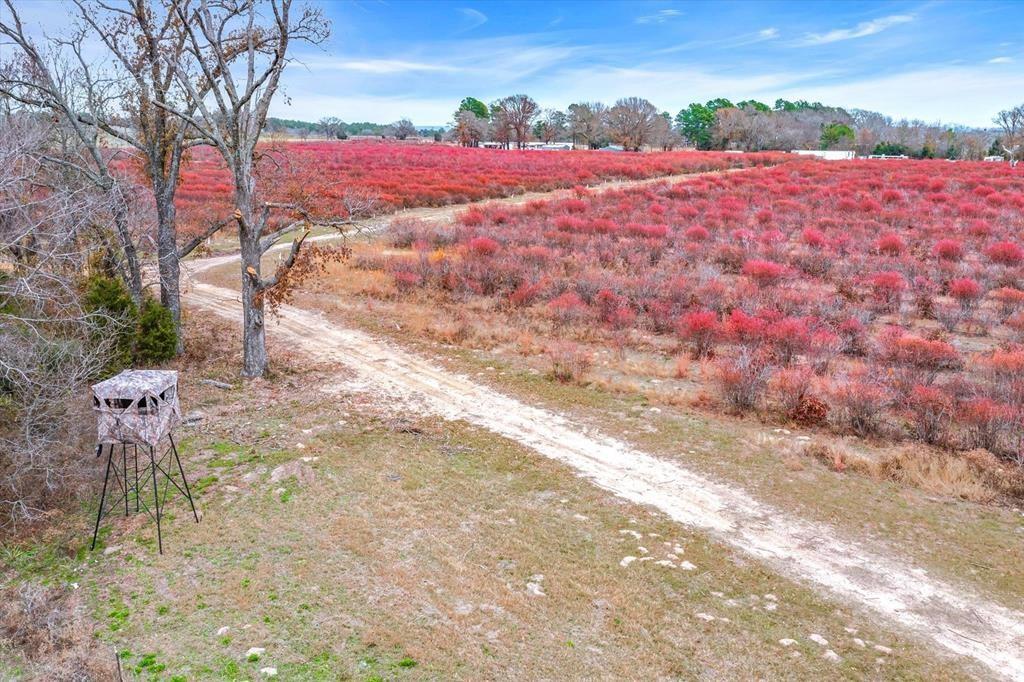 12462 Fm 2588 Property Photo 24