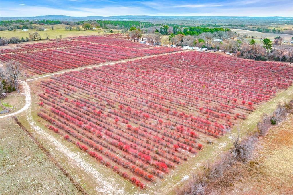 12462 Fm 2588 Property Photo 25